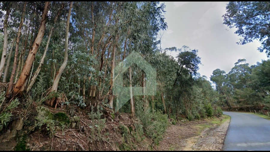 Terreno Agricola ou Rústico para Venda em Alvito (São Pedro e São Martinho) e Couto