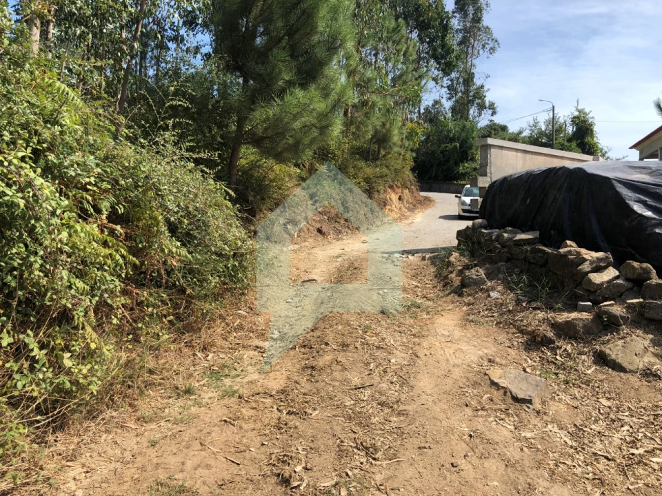 Terreno Agricola ou Rústico para Venda em Chorente, Góios, Courel, Pedra Furada e Gueral Foto 6