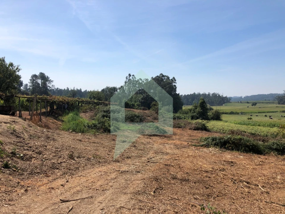 Terreno Agricola ou Rústico para Venda em Chorente, Góios, Courel, Pedra Furada e Gueral Foto 7