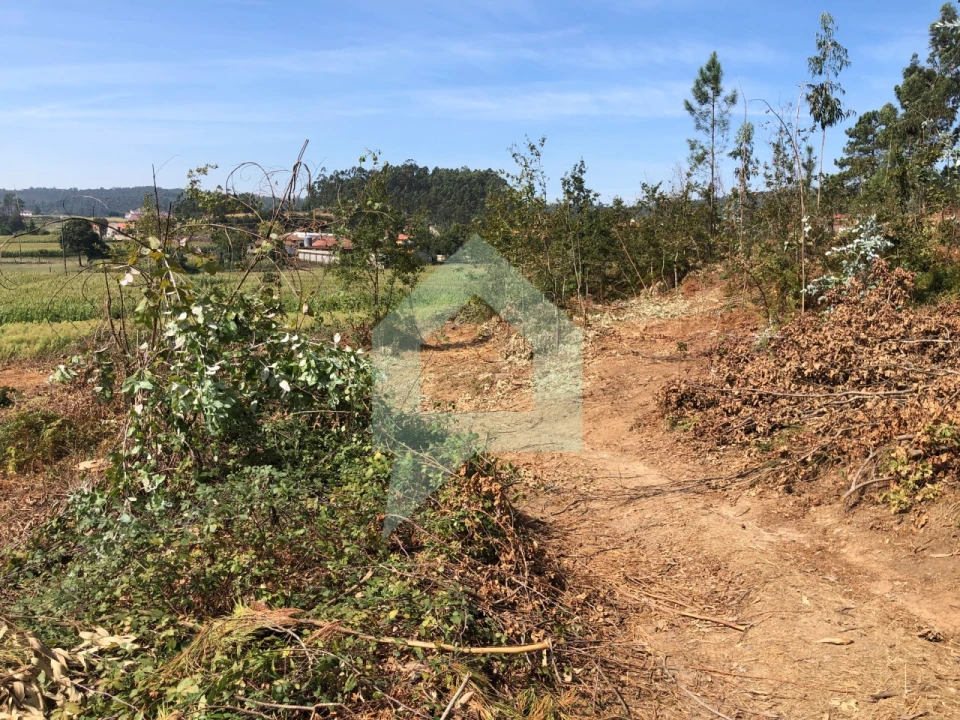 Terreno Agricola ou Rústico para Venda em Chorente, Góios, Courel, Pedra Furada e Gueral Foto 9