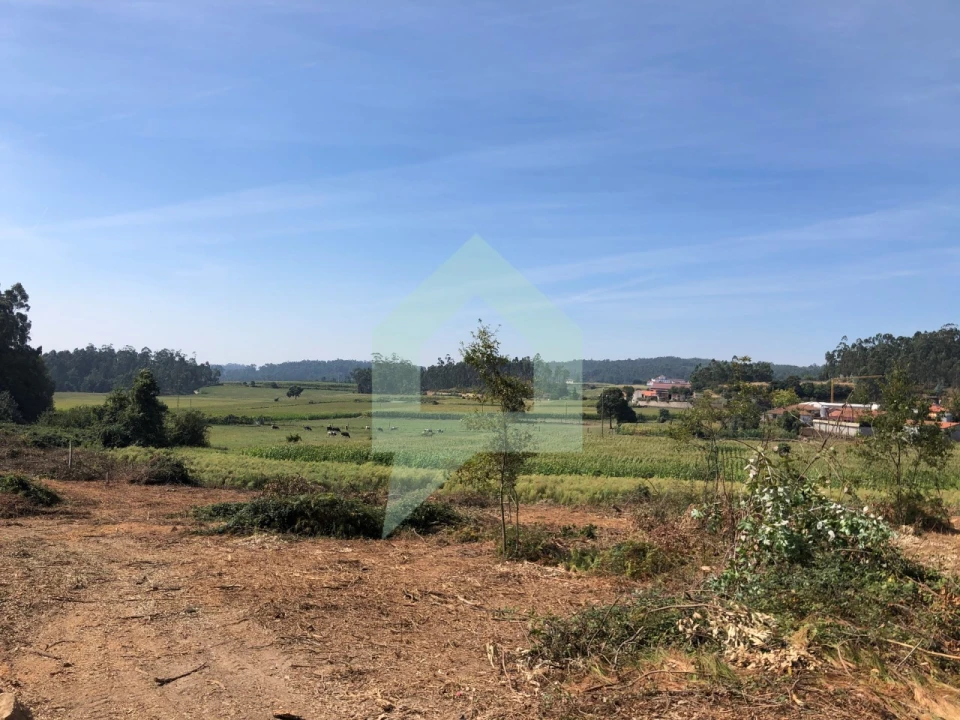 Terreno Agricola ou Rústico para Venda em Chorente, Góios, Courel, Pedra Furada e Gueral Foto 11