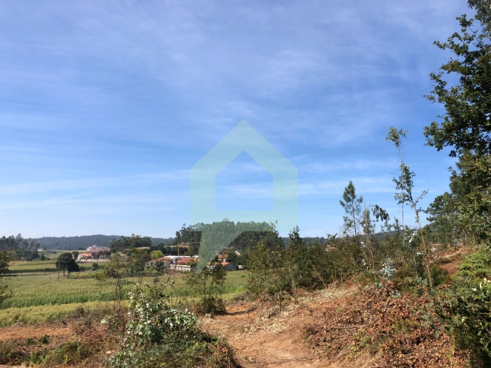 Terreno Agricola ou Rústico para Venda em Chorente, Góios, Courel, Pedra Furada e Gueral Foto 12