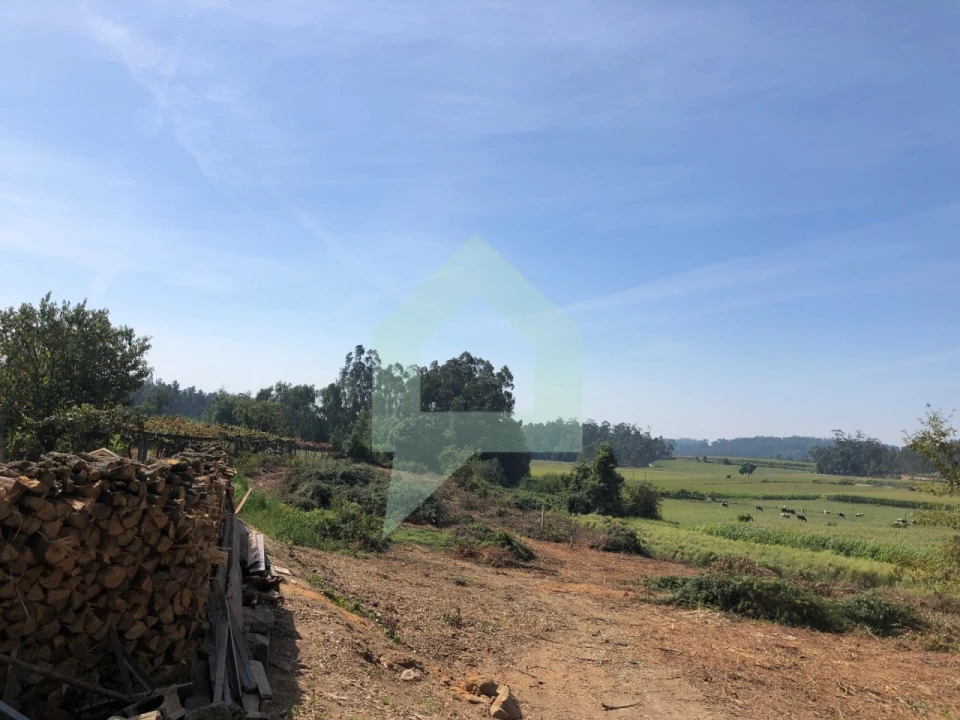 Terreno Agricola ou Rústico para Venda em Chorente, Góios, Courel, Pedra Furada e Gueral Foto 13