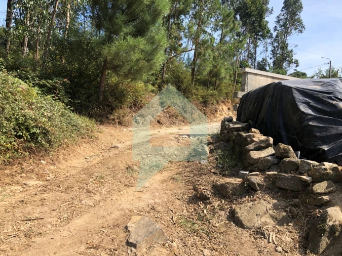 Terreno Agricola ou Rústico para Venda em Chorente, Góios, Courel, Pedra Furada e Gueral Foto 5