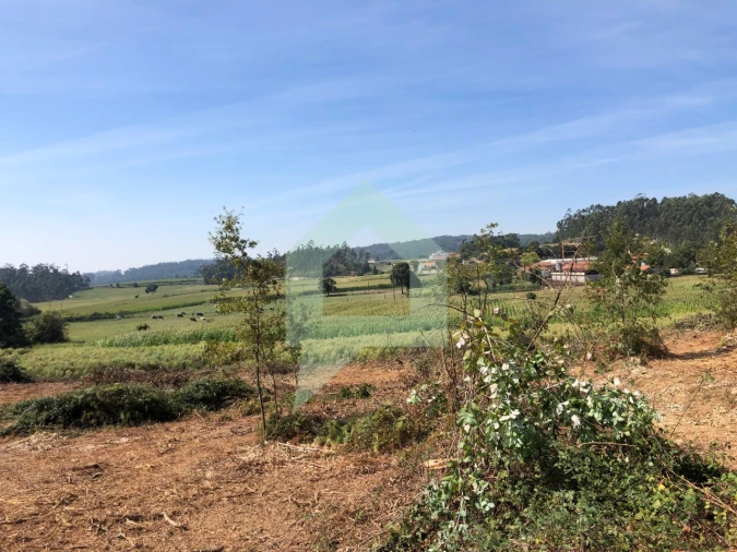 Terreno Agricola ou Rústico para Venda em Chorente, Góios, Courel, Pedra Furada e Gueral Foto 3