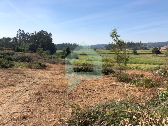 Terreno Agricola ou Rústico para Venda em Chorente, Góios, Courel, Pedra Furada e Gueral Foto 2