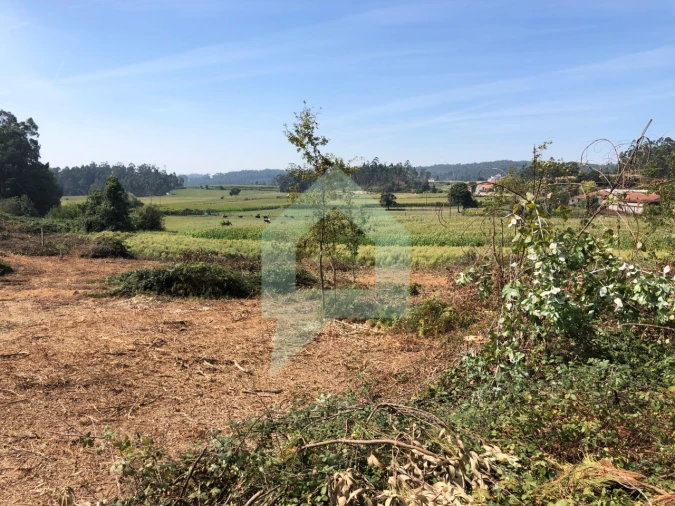Terreno Agricola ou Rústico para Venda em Chorente, Góios, Courel, Pedra Furada e Gueral Foto 8
