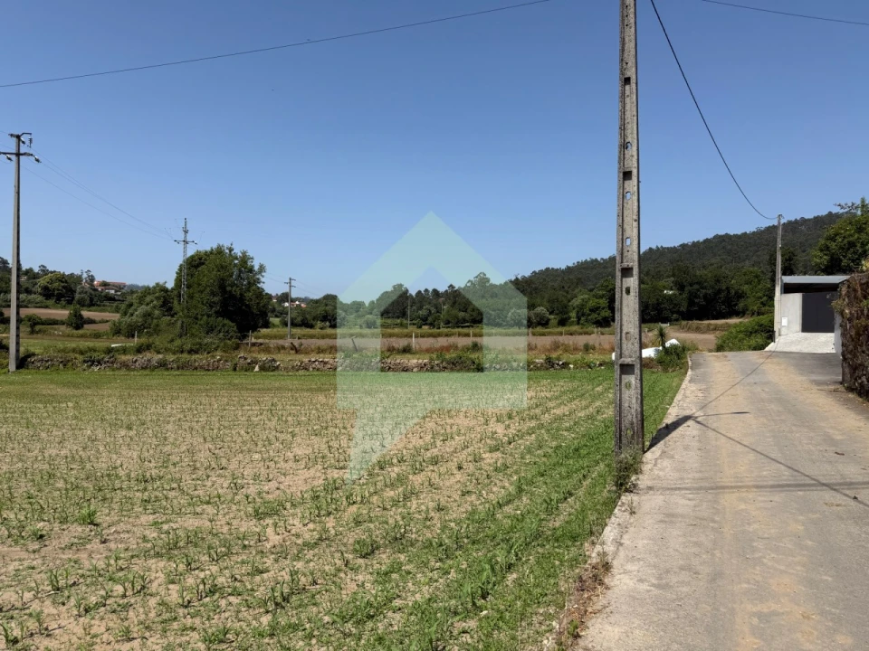 Terreno para Venda em Roriz Foto 3