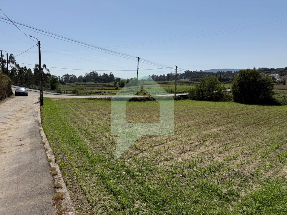 Terreno para Venda em Roriz Foto 7