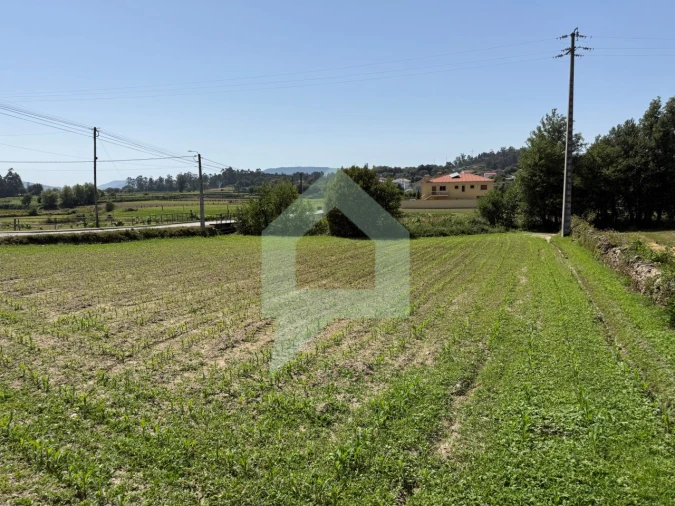 Terreno para Venda em Roriz