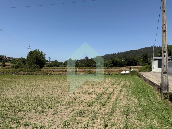 Terreno para Venda em Roriz Foto 4