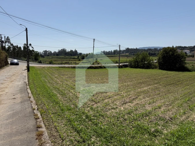 Terreno para Venda em Roriz Foto 7