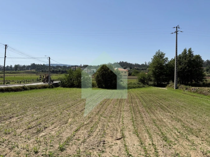 Terreno para Venda em Roriz Foto 8