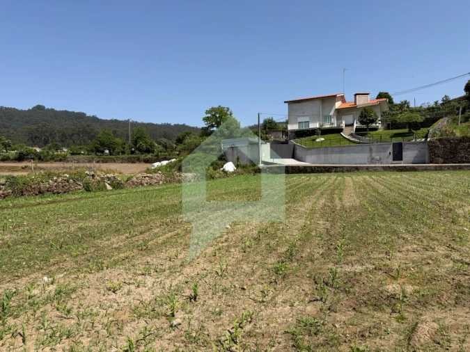 Terreno para Venda em Roriz Foto 13