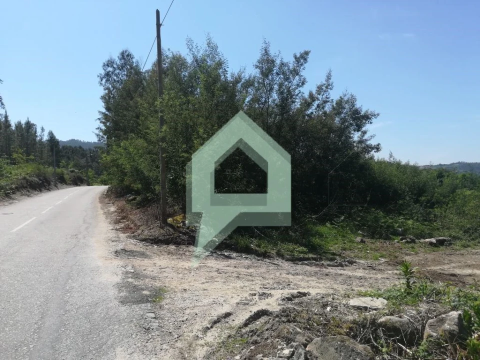 Terreno para Venda em Souto Santa Maria, Souto São Salvador e Gondomar Foto 4