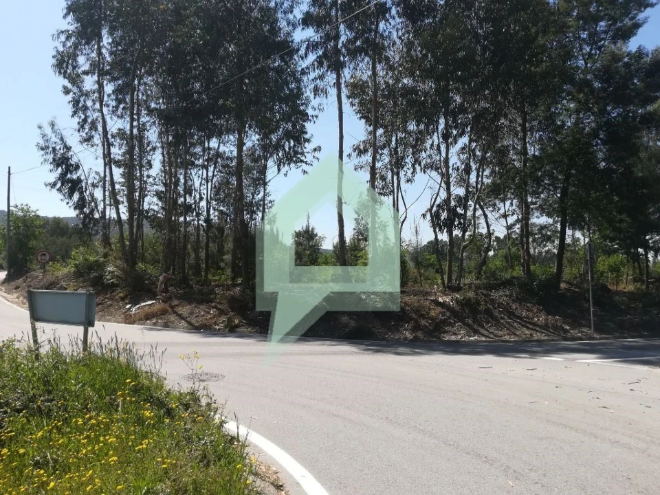 Terreno para Venda em Souto Santa Maria, Souto São Salvador e Gondomar Foto 7