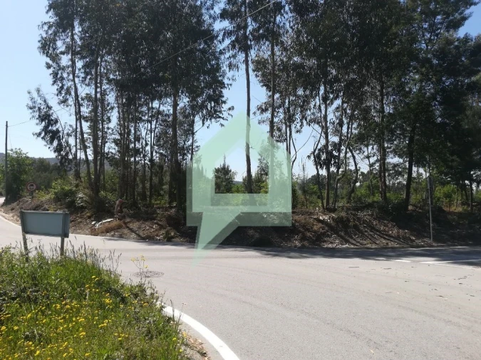 Terreno para Venda em Souto Santa Maria, Souto São Salvador e Gondomar Foto 7