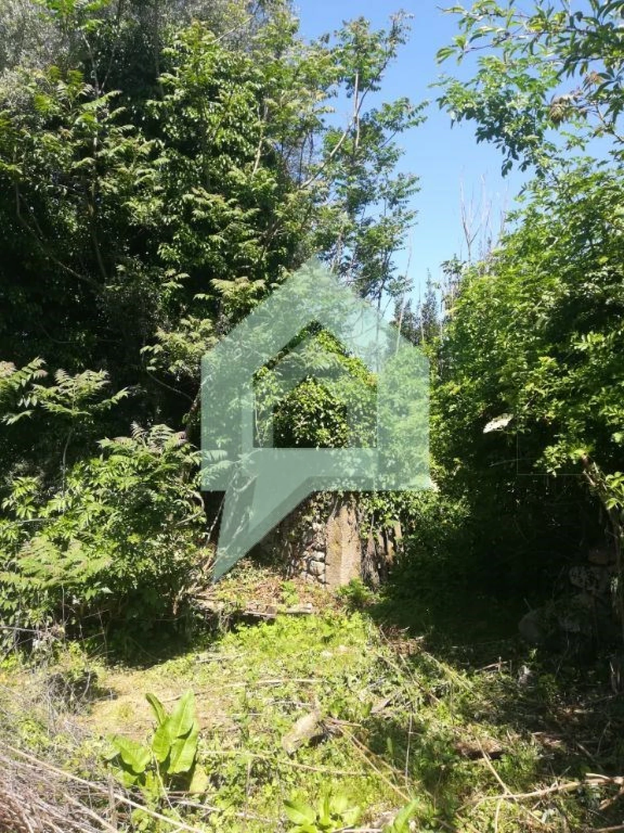 Terreno para Venda em Souto Santa Maria, Souto São Salvador e Gondomar Foto 8