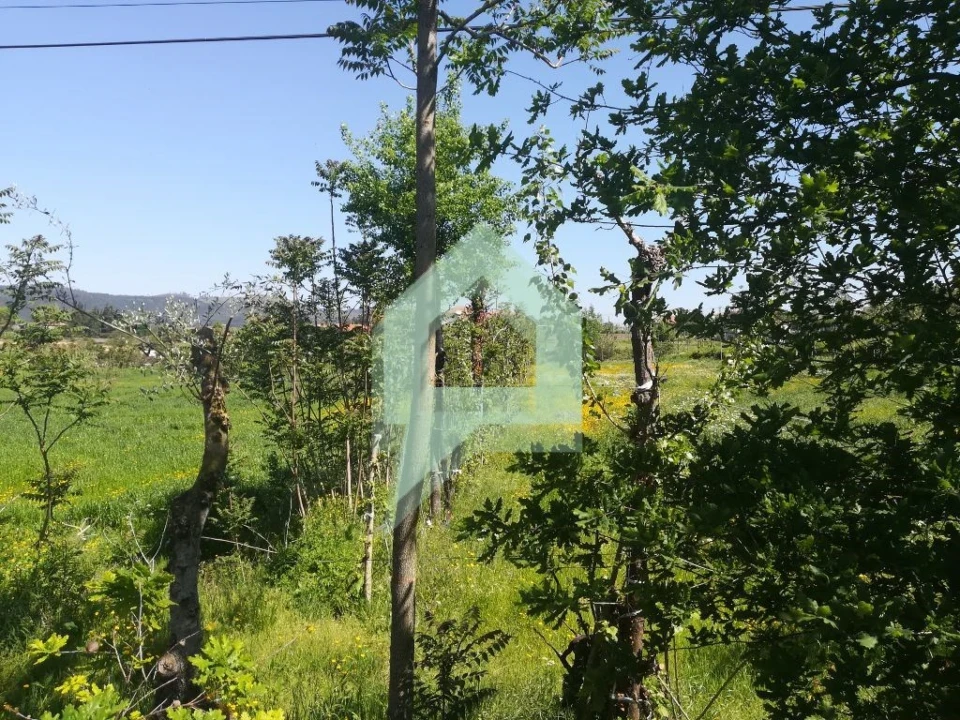Terreno para Venda em Souto Santa Maria, Souto São Salvador e Gondomar Foto 12