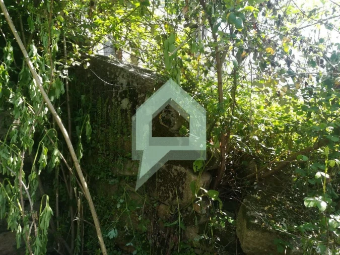 Terreno para Venda em Souto Santa Maria, Souto São Salvador e Gondomar Foto 5