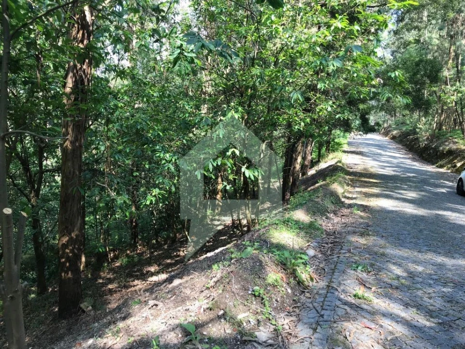 Terreno Agricola ou Rústico para Venda em Pereira Foto 5