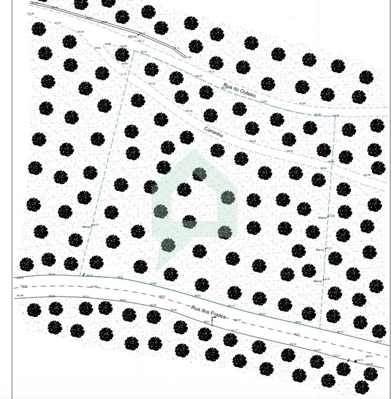 Terreno Agricola ou Rústico para Venda em Pereira Foto 10