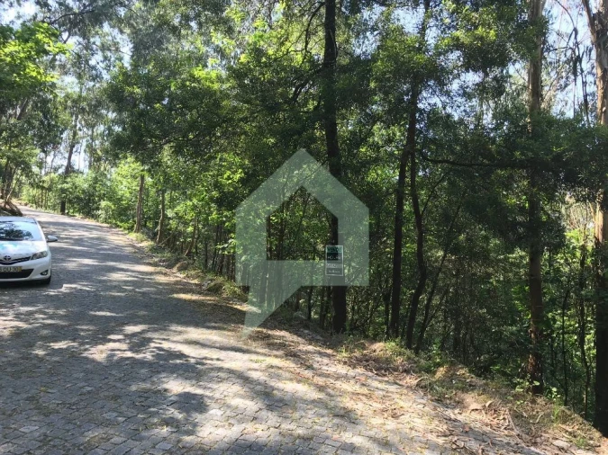 Terreno Agricola ou Rústico para Venda em Pereira