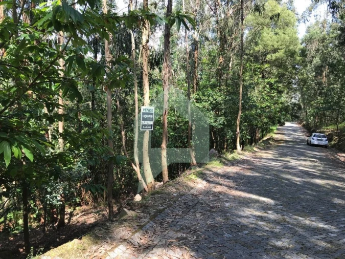 Terreno Agricola ou Rústico para Venda em Pereira Foto 7