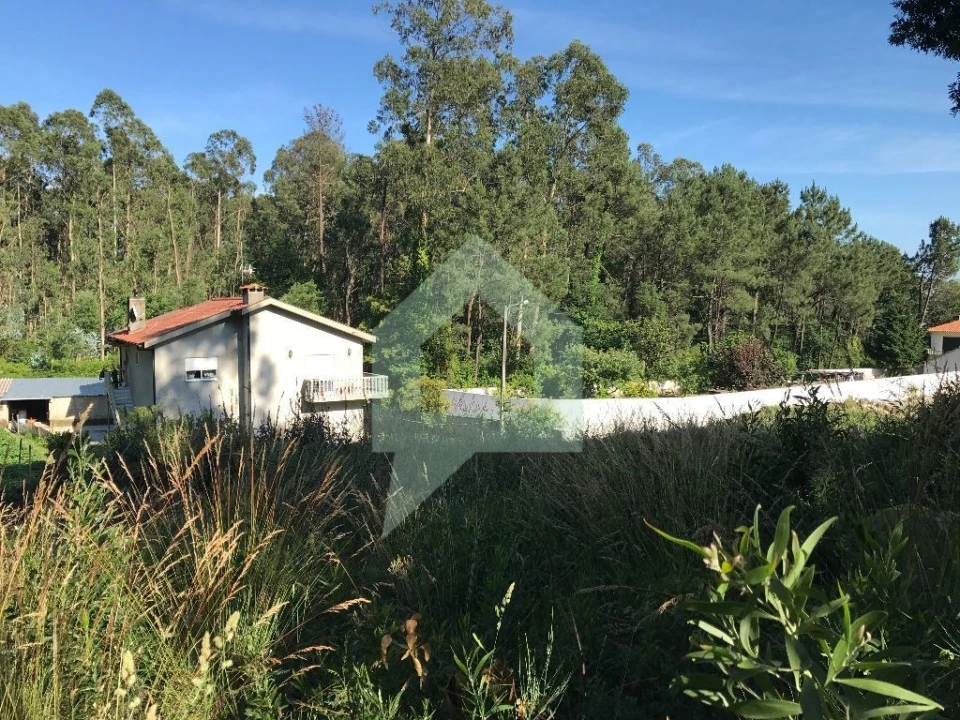 Terreno Agricola ou Rústico para Venda em Creixomil e Mariz Foto 5