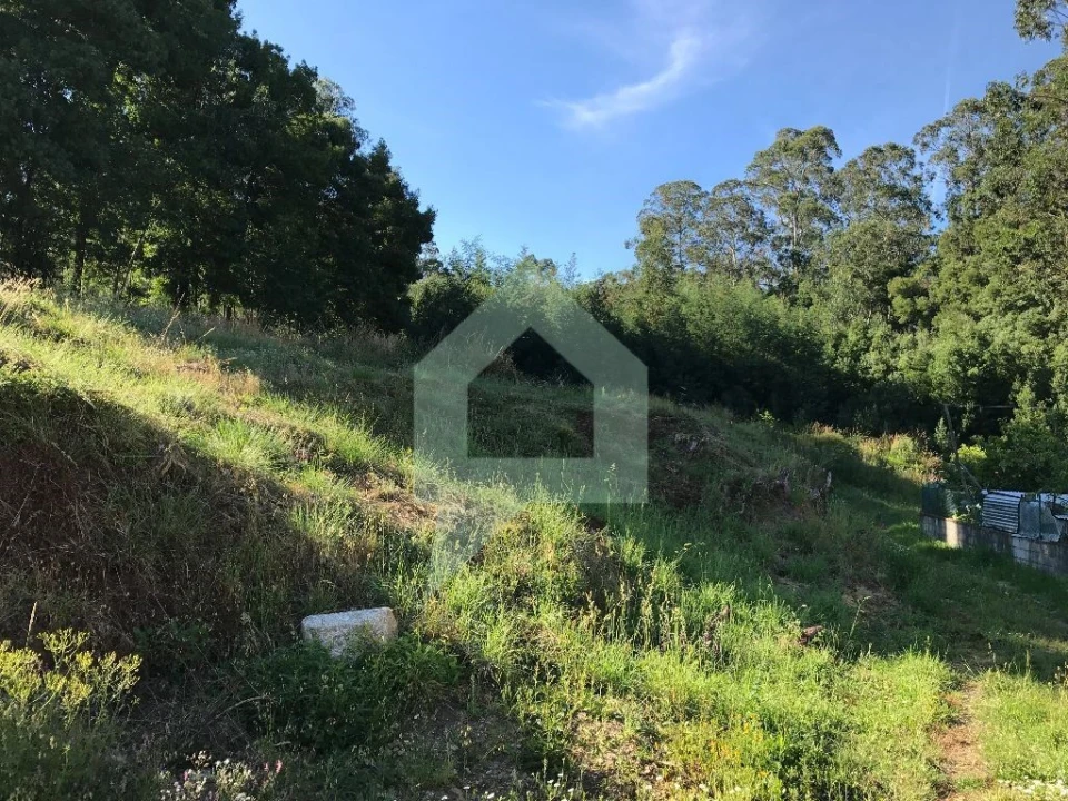 Terreno Agricola ou Rústico para Venda em Creixomil e Mariz Foto 9