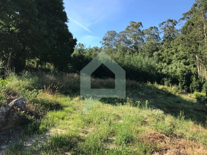 Terreno Agricola ou Rústico para Venda em Creixomil e Mariz Foto 2
