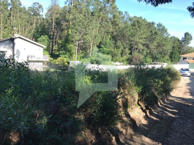 Terreno Agricola ou Rústico para Venda em Creixomil e Mariz Foto 3