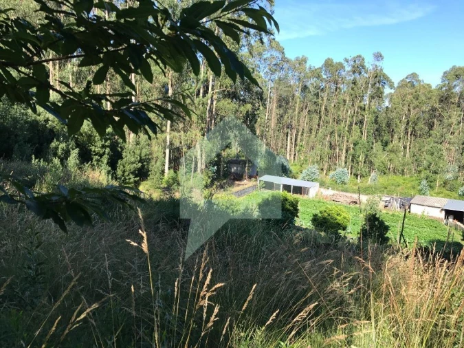 Terreno Agricola ou Rústico para Venda em Creixomil e Mariz Foto 4