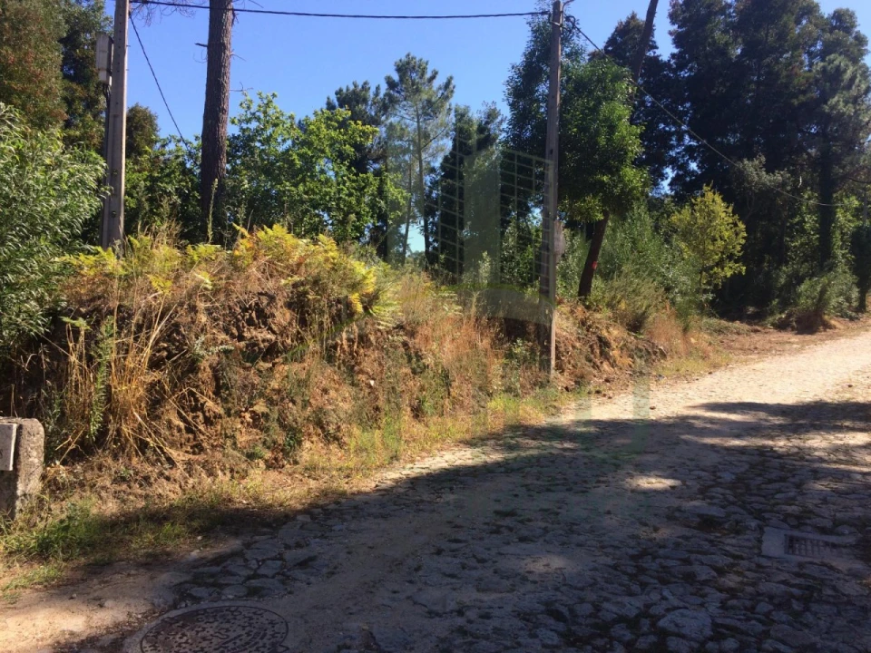 Terreno para Venda em Venade e Azevedo Foto 2