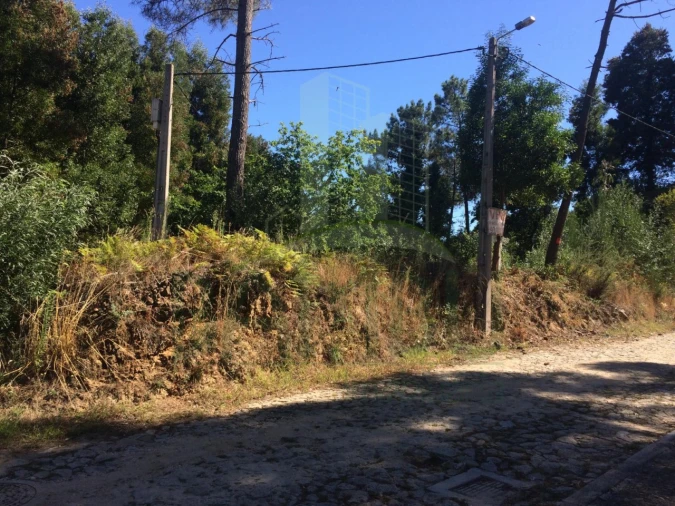 Terreno para Venda em Venade e Azevedo Foto 1
