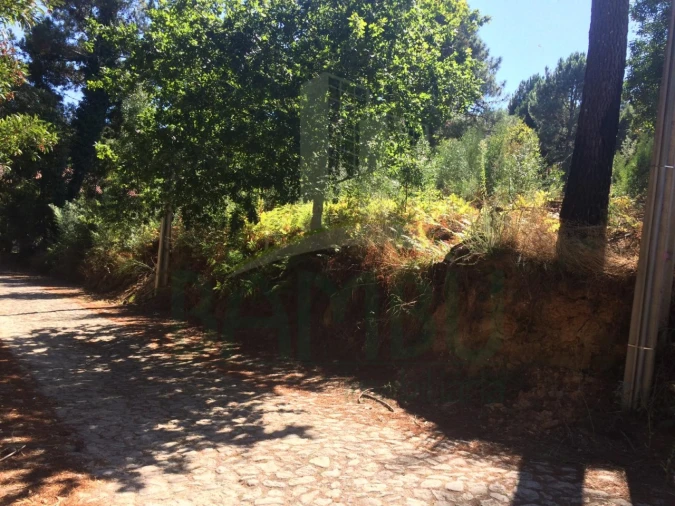 Terreno para Venda em Venade e Azevedo Foto 4