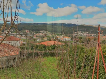 Moradia T5 para Venda em Perre