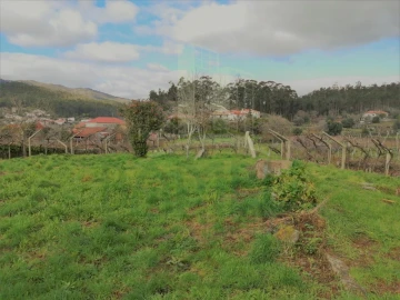 Moradia T5 para Venda em Perre