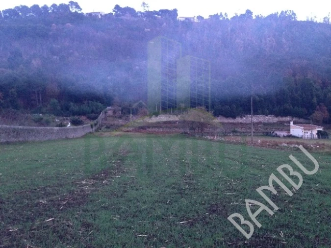 Terreno para Venda em Moledo e Cristelo Foto 2