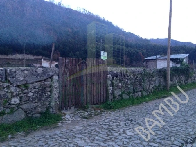 Terreno para Venda em Moledo e Cristelo Foto 4