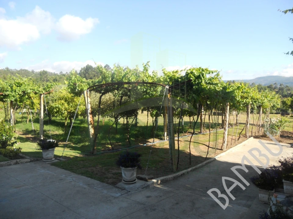 Quinta T4 para Venda em Seixas Foto 3