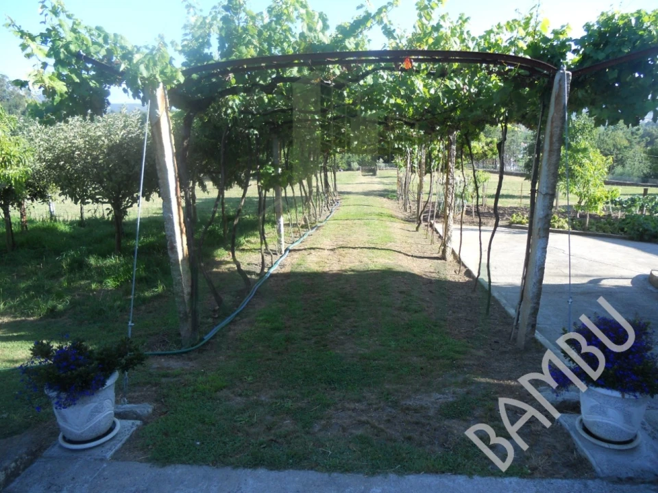 Quinta T4 para Venda em Seixas Foto 31