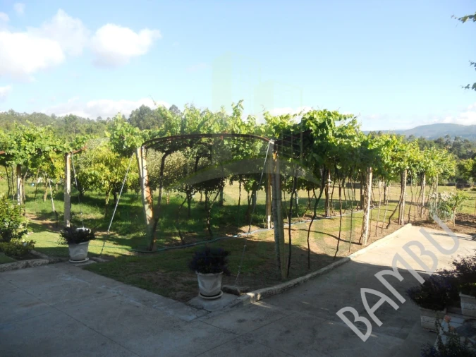 Quinta T4 para Venda em Seixas Foto 3