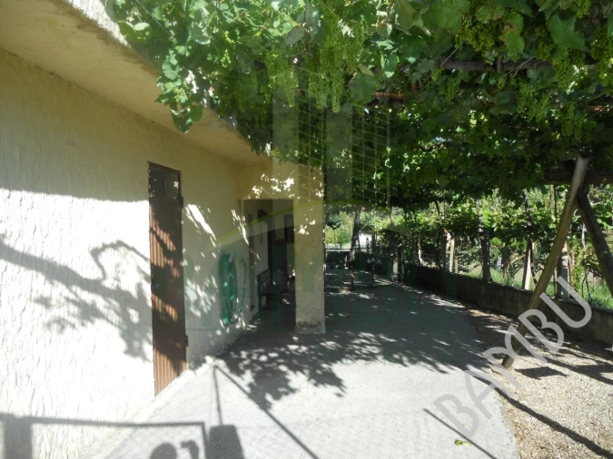 Quinta T4 para Venda em Seixas Foto 33