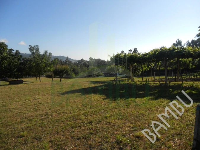 Quinta T4 para Venda em Seixas Foto 35