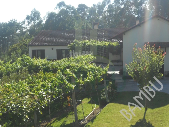 Quinta T4 para Venda em Seixas Foto 36