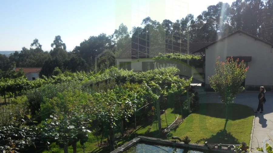 Quinta T4 para Venda em Seixas