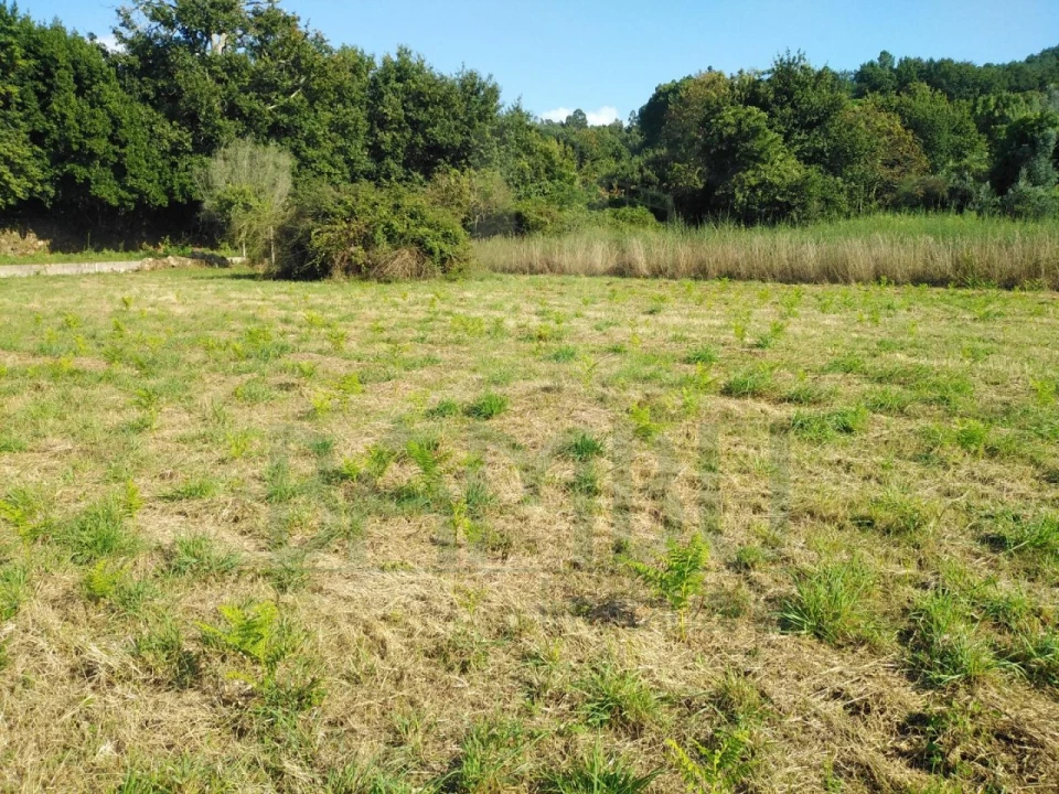 Terreno para Venda em Cornes Foto 2