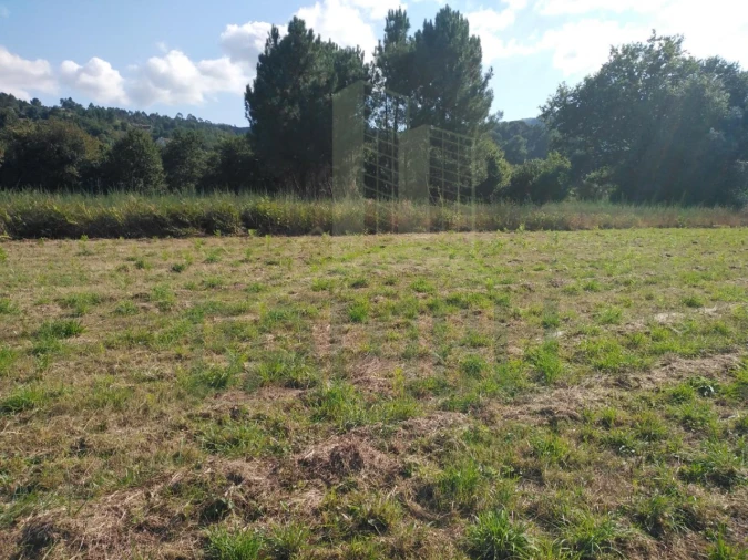 Terreno para Venda em Cornes Foto 6