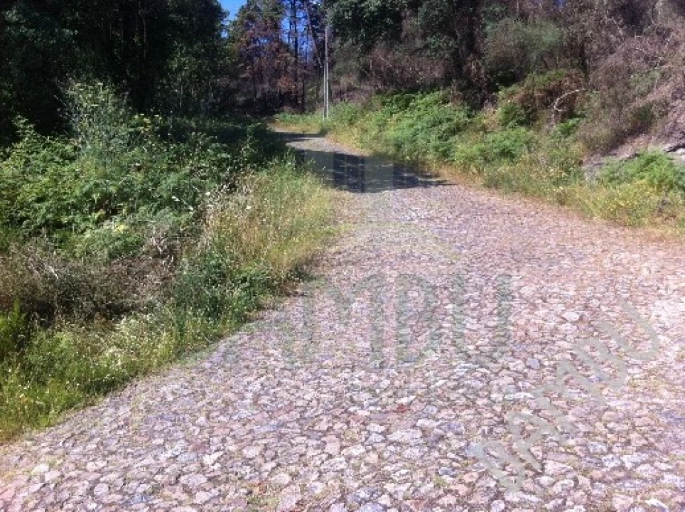 Terreno para Venda em Venade e Azevedo Foto 3